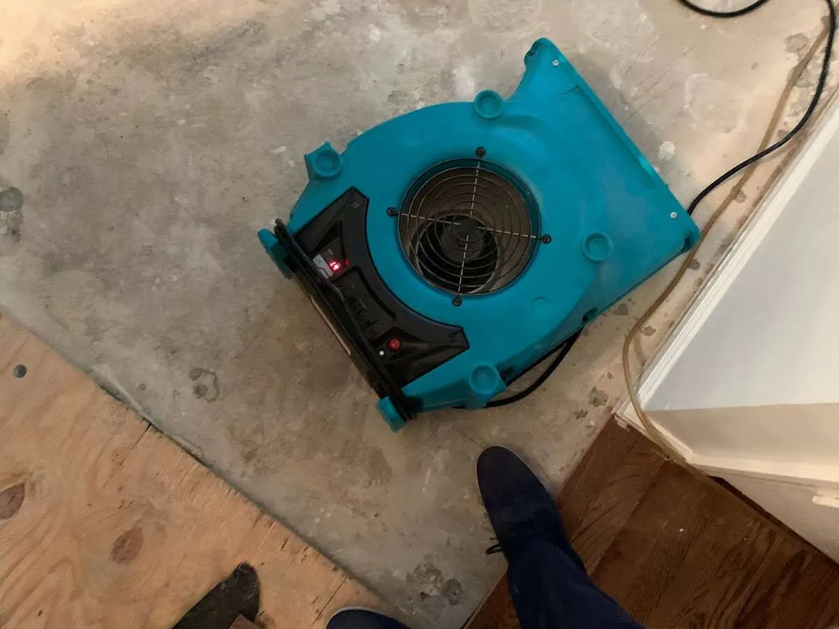 Air mover drying subfloor during Leak Detection & Repair in Potomac Park